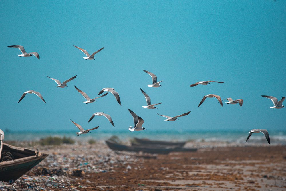 Photograph by Charlemagne Louvensky Wisner