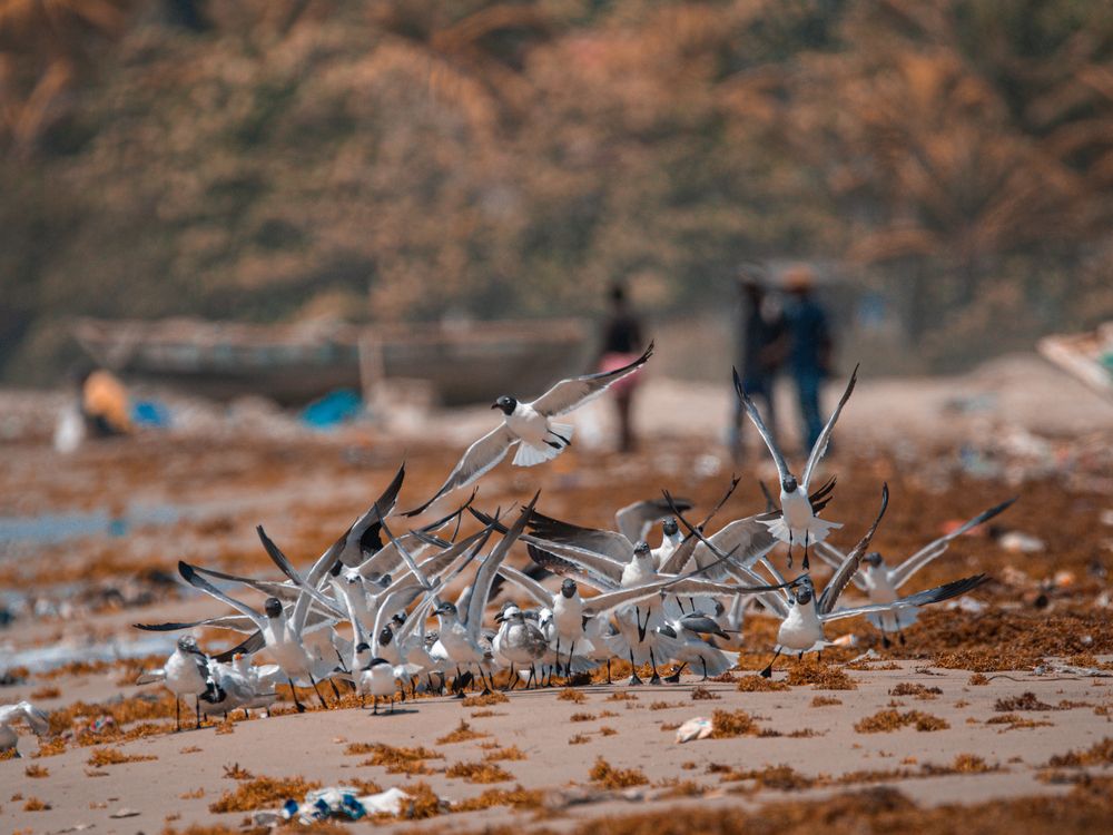 Photograph by Charlemagne Louvensky Wisner