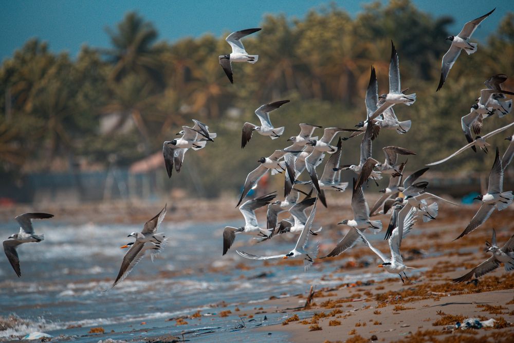 Photograph by Charlemagne Louvensky Wisner