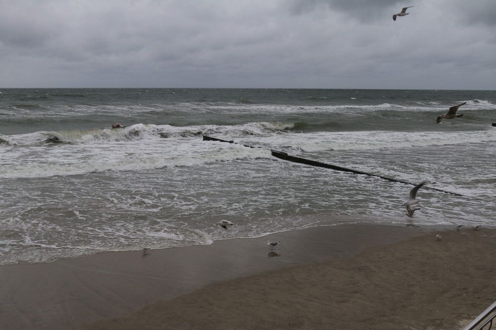 Photograph by Софья Белоногова