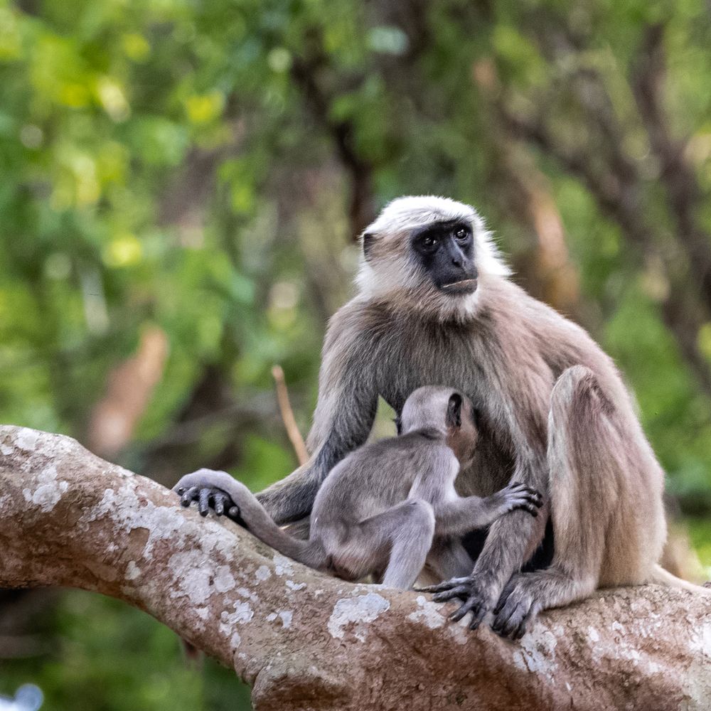 Photograph by Елена Захарова