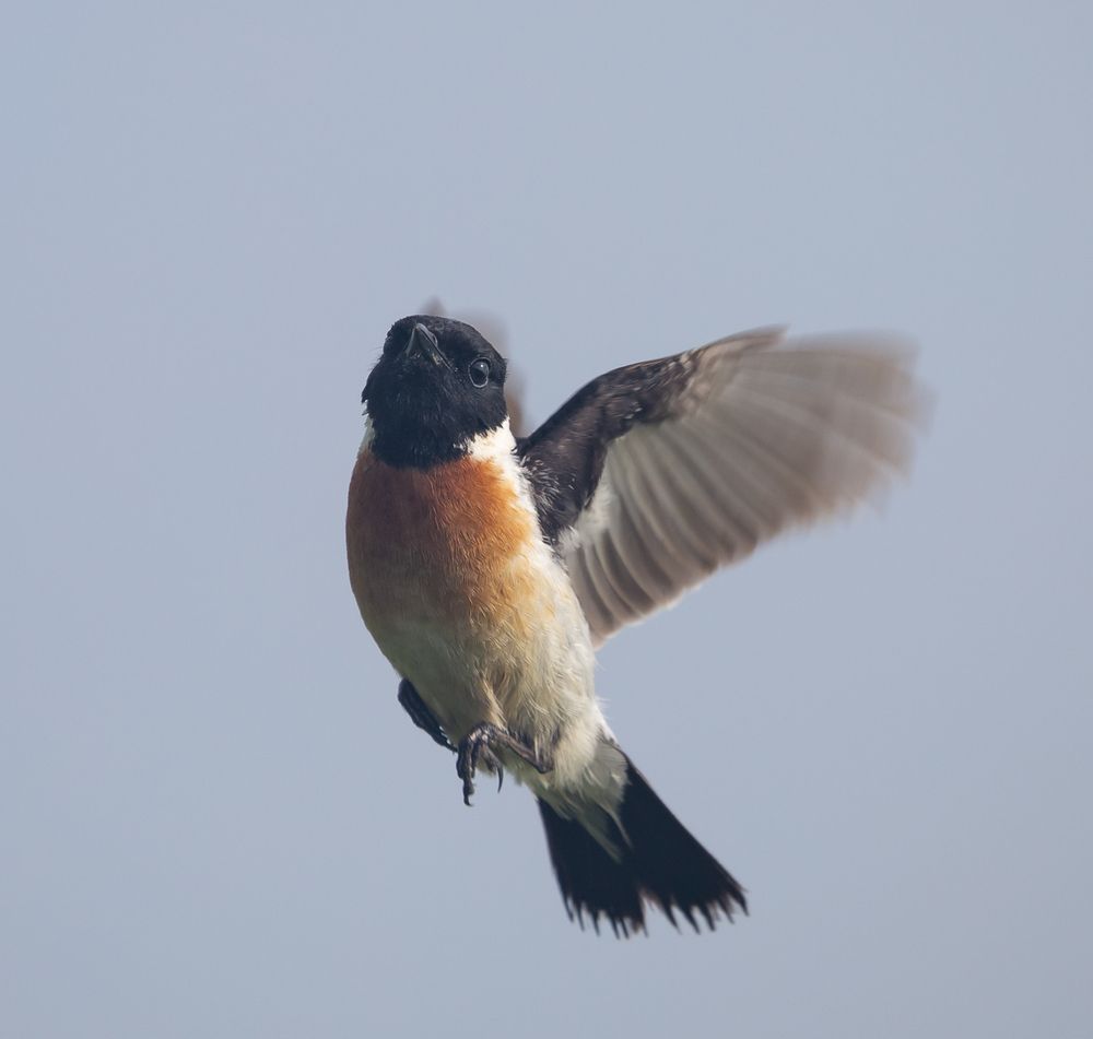 Photograph by Елена Хорохорина