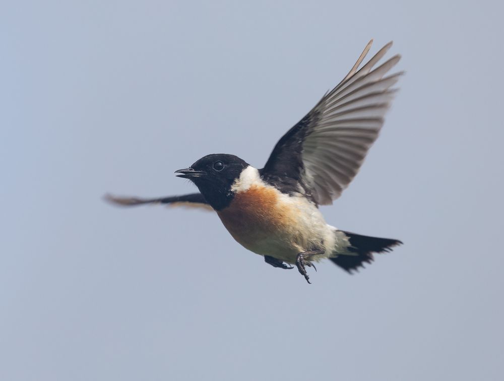 Photograph by Елена Хорохорина