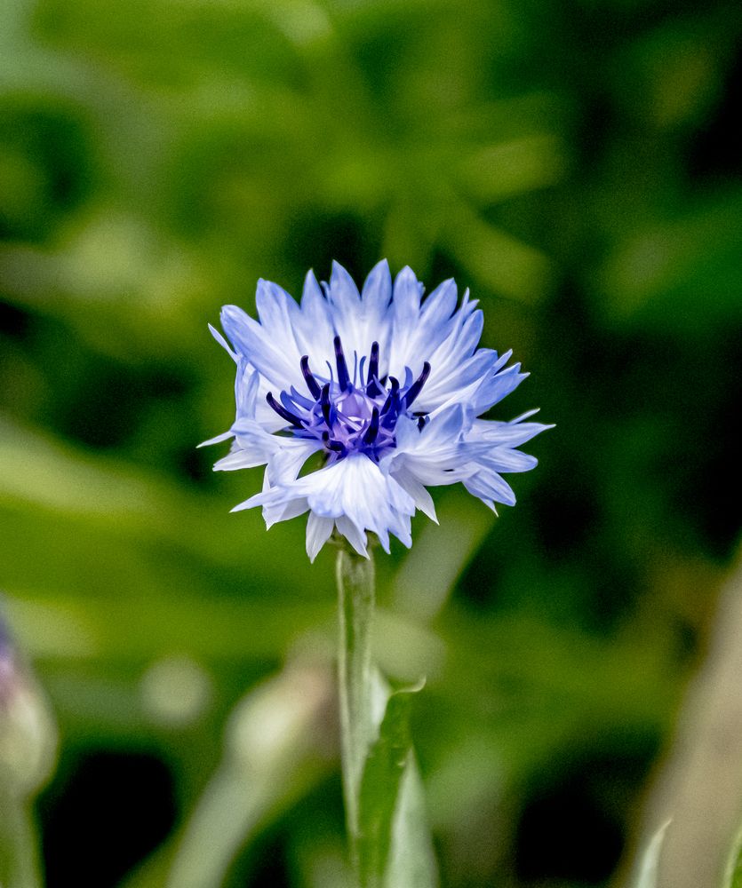 Photograph by Anna Prohorova