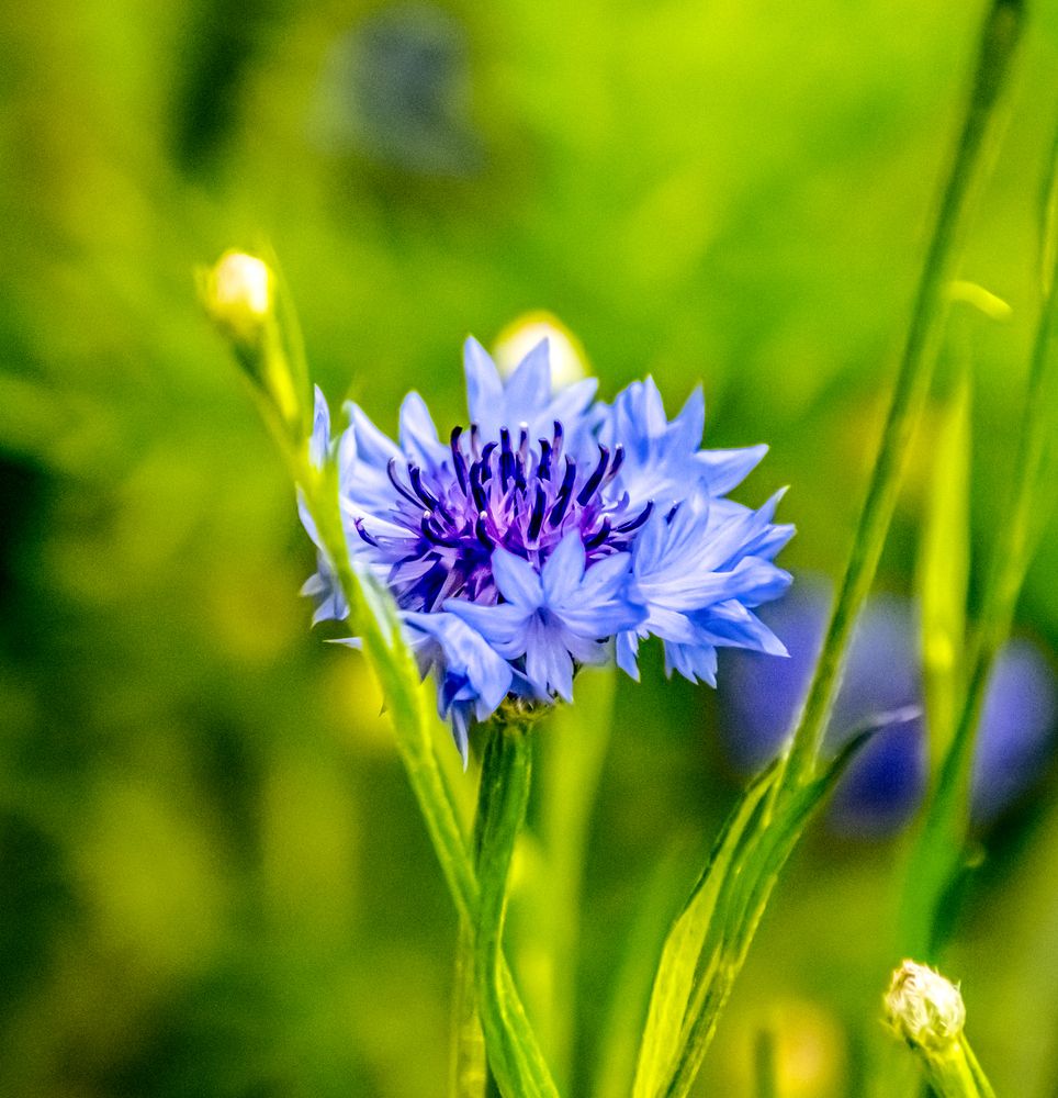 Photograph by Anna Prohorova