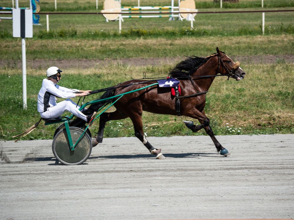 Photograph by Вера Волкова