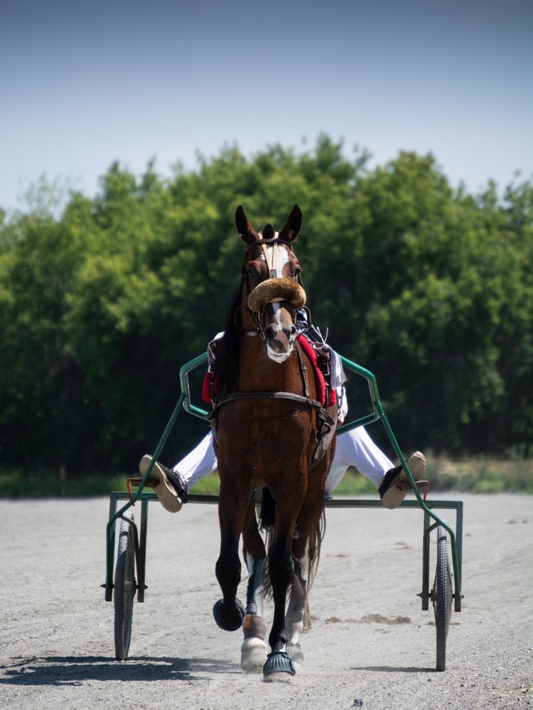 Photograph by Вера Волкова