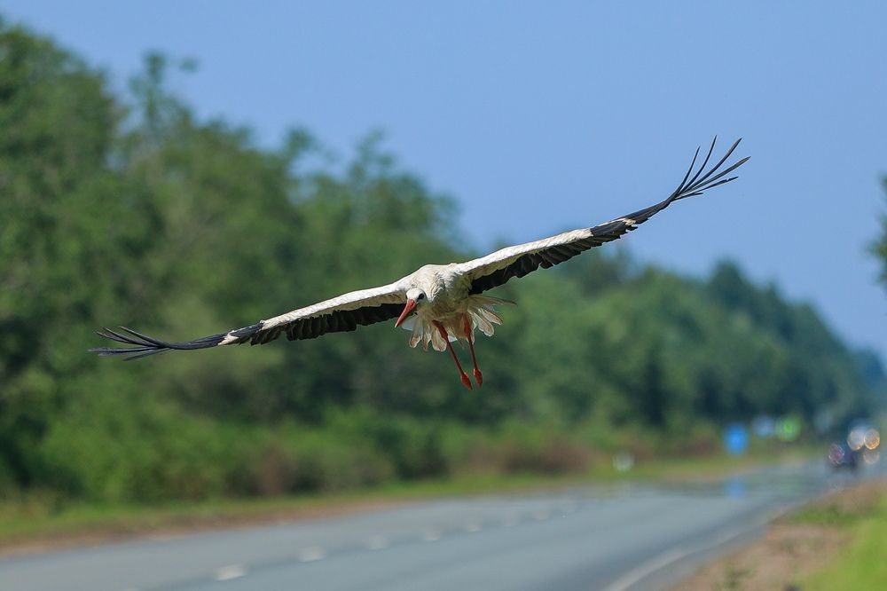 Photograph by Natalia Antipas