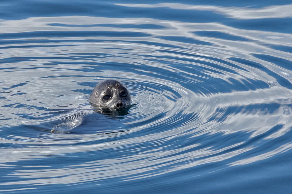 Photograph by Виктор Калинский