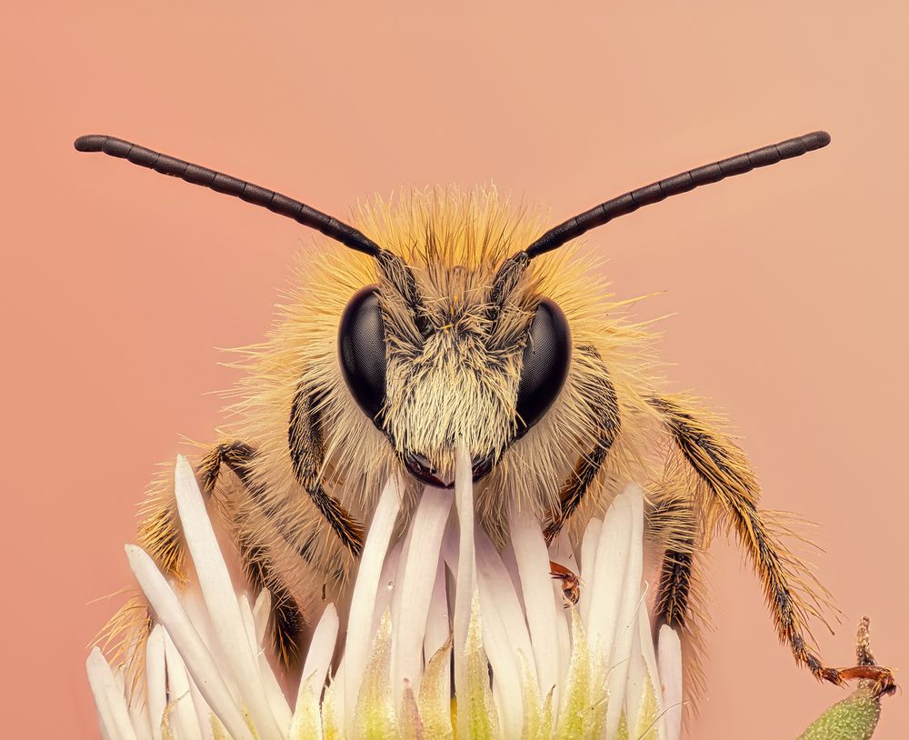 Фотография автора Sergio Gomez Dominguez