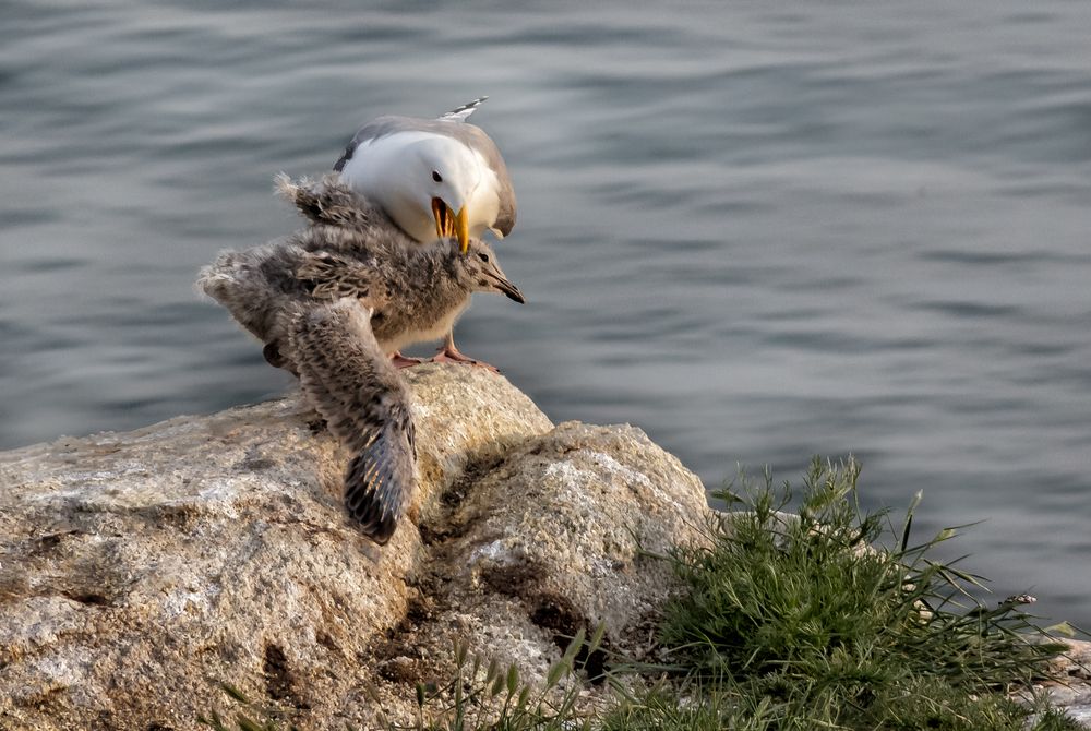 Photograph by Виктор Калинский