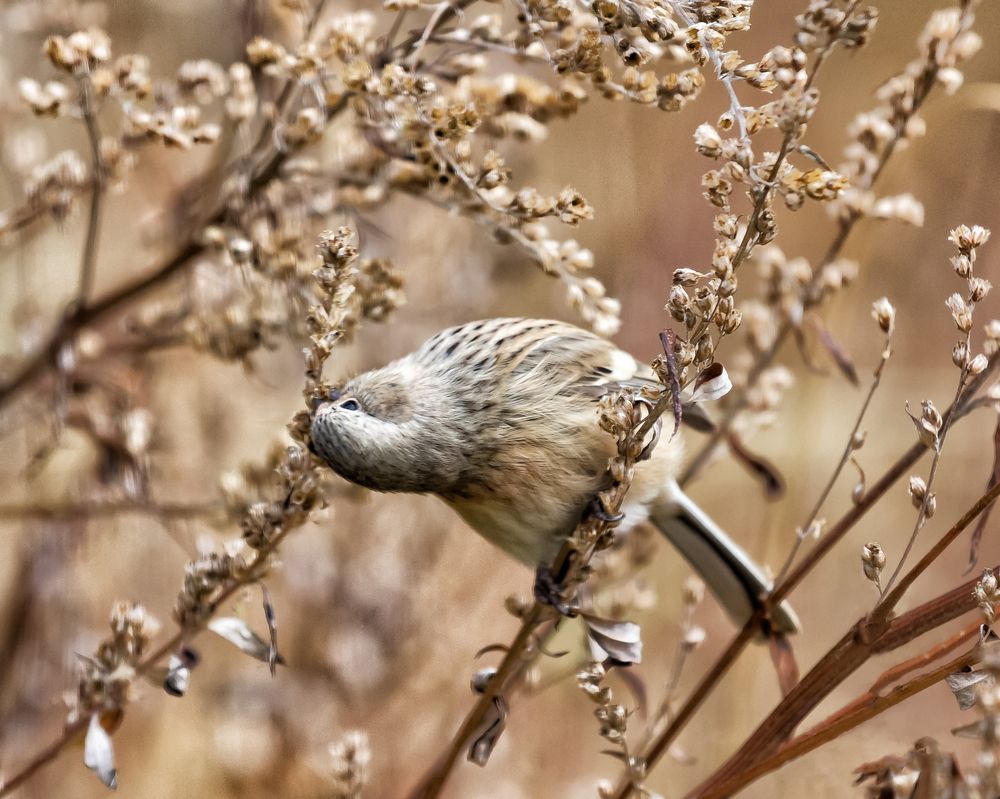 Photograph by Виктор Калинский