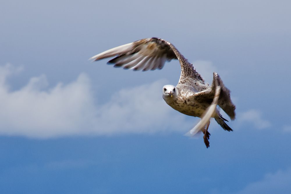 Photograph by Виктор Калинский