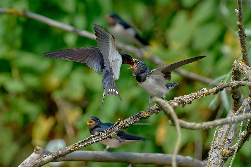 Photograph by Валерий Змачинский