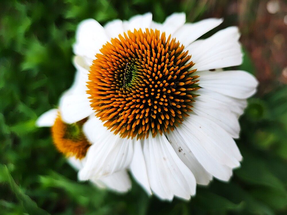 Photograph by Jozef Potocký