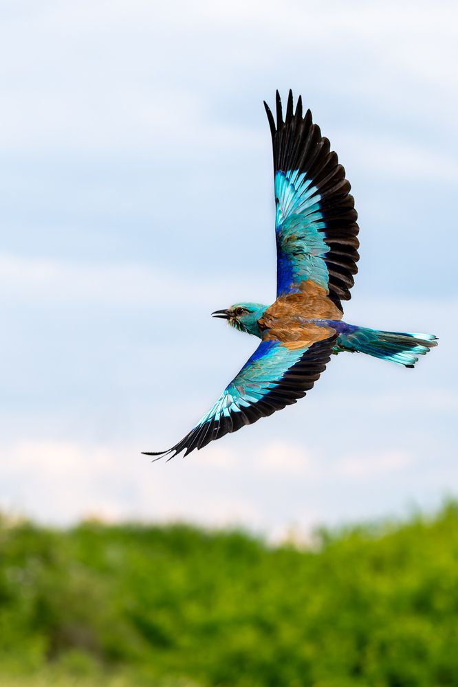 Photograph by Nikolay Slutskiy