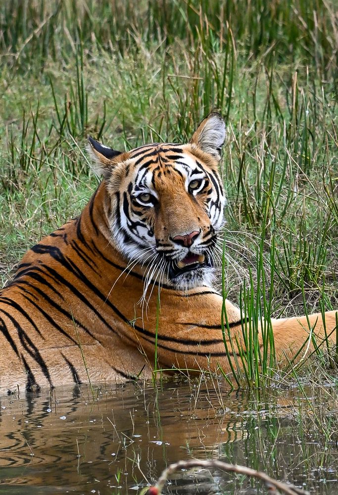 Photograph by Vikrant Khedekar