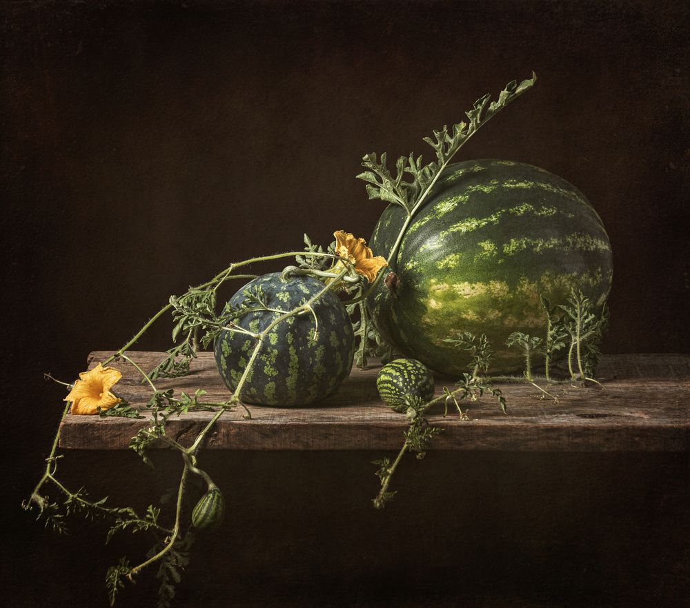 Photograph by Хаева Марина