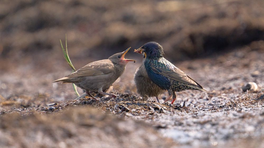 Photograph by Валерий Змачинский