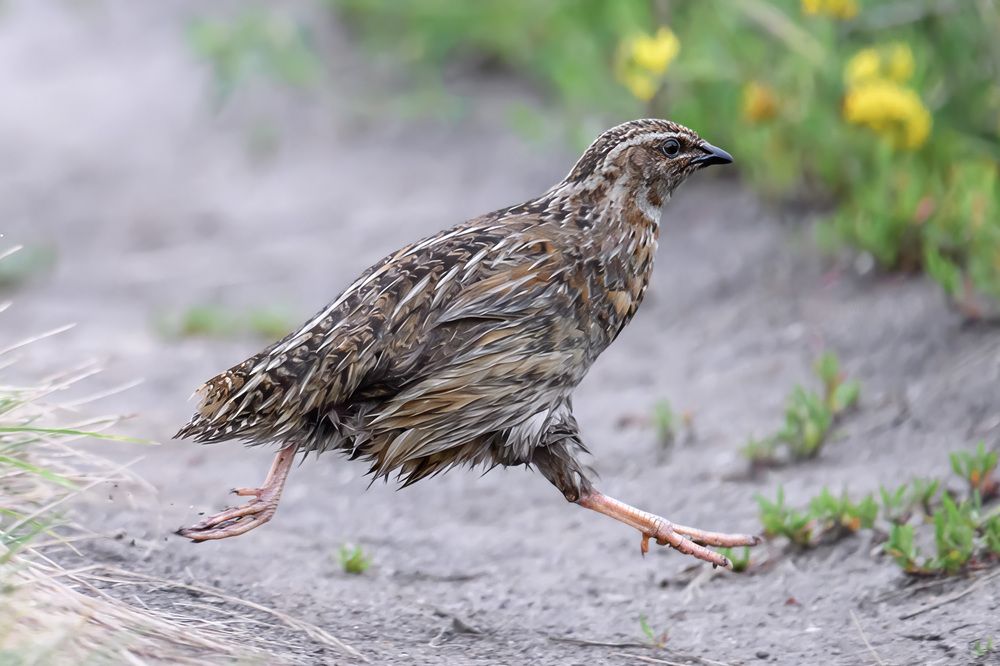 Photograph by Вячеслав Ладанов