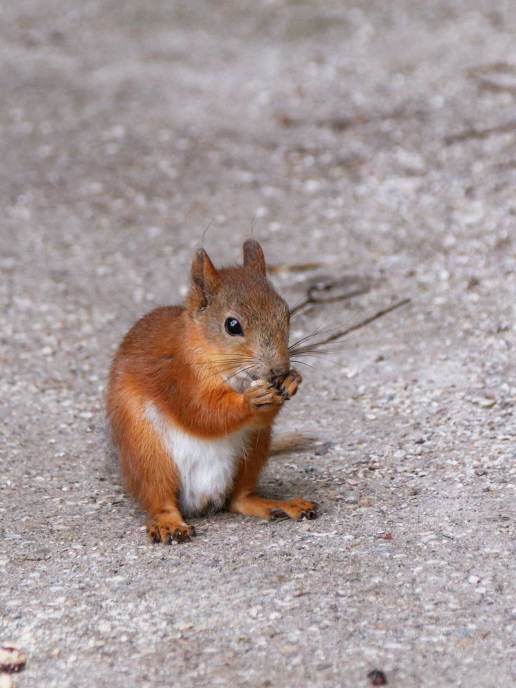 Photograph by Игорь Кабанов