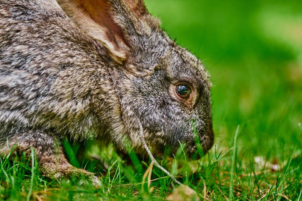 Фотография автора Игорь Игоревич