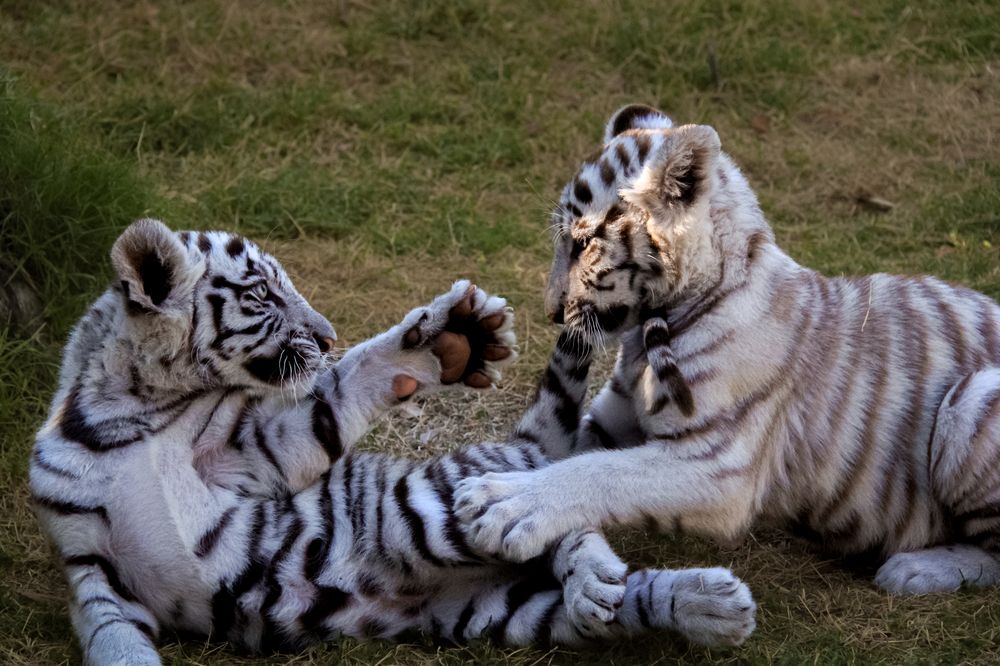 Photograph by Елена Захарова