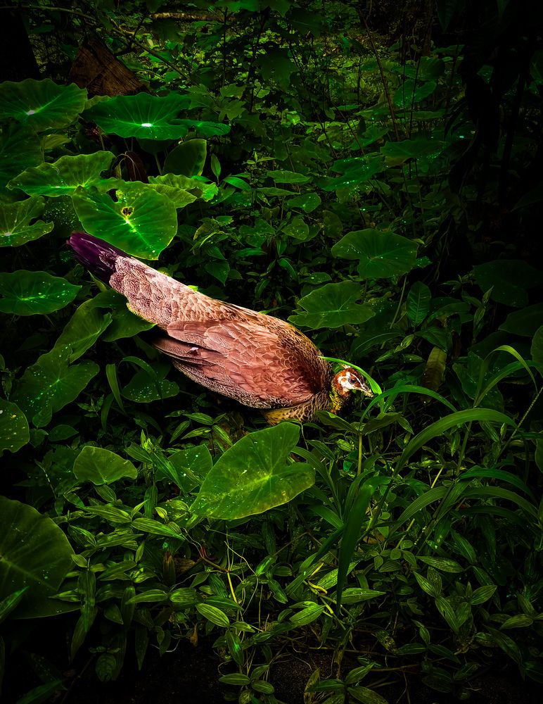 Photograph by SHRIYAKSHI