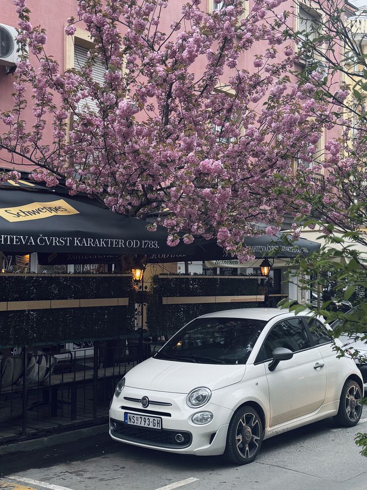 Photograph by Marianna Zakirova