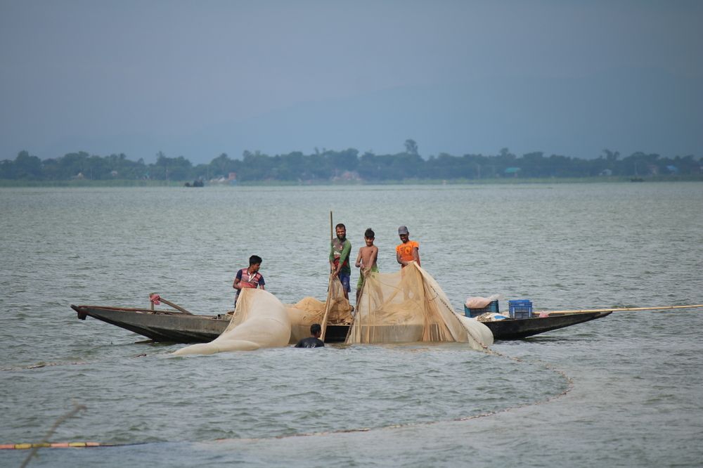 Photograph by Mostafa Shahriar