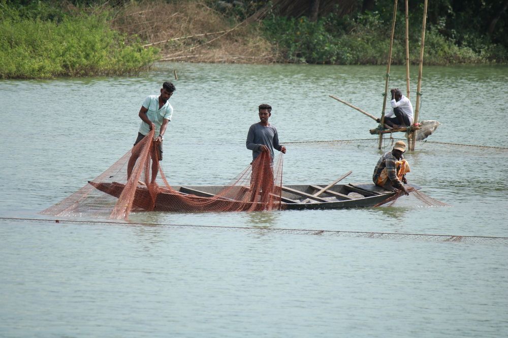 Photograph by Mostafa Shahriar