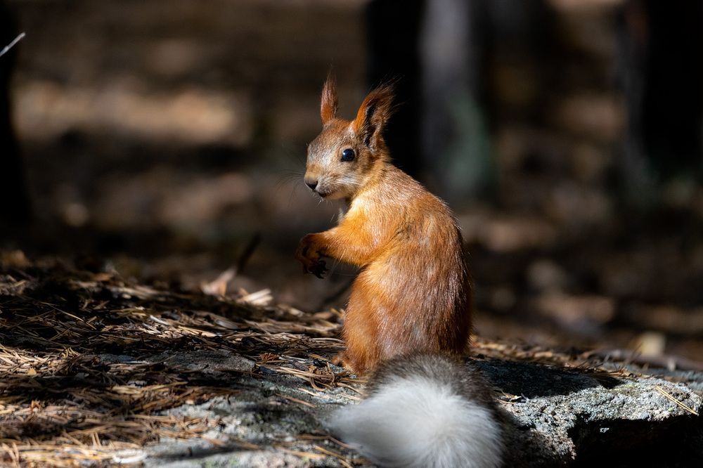 Photograph by Олег Беспалов