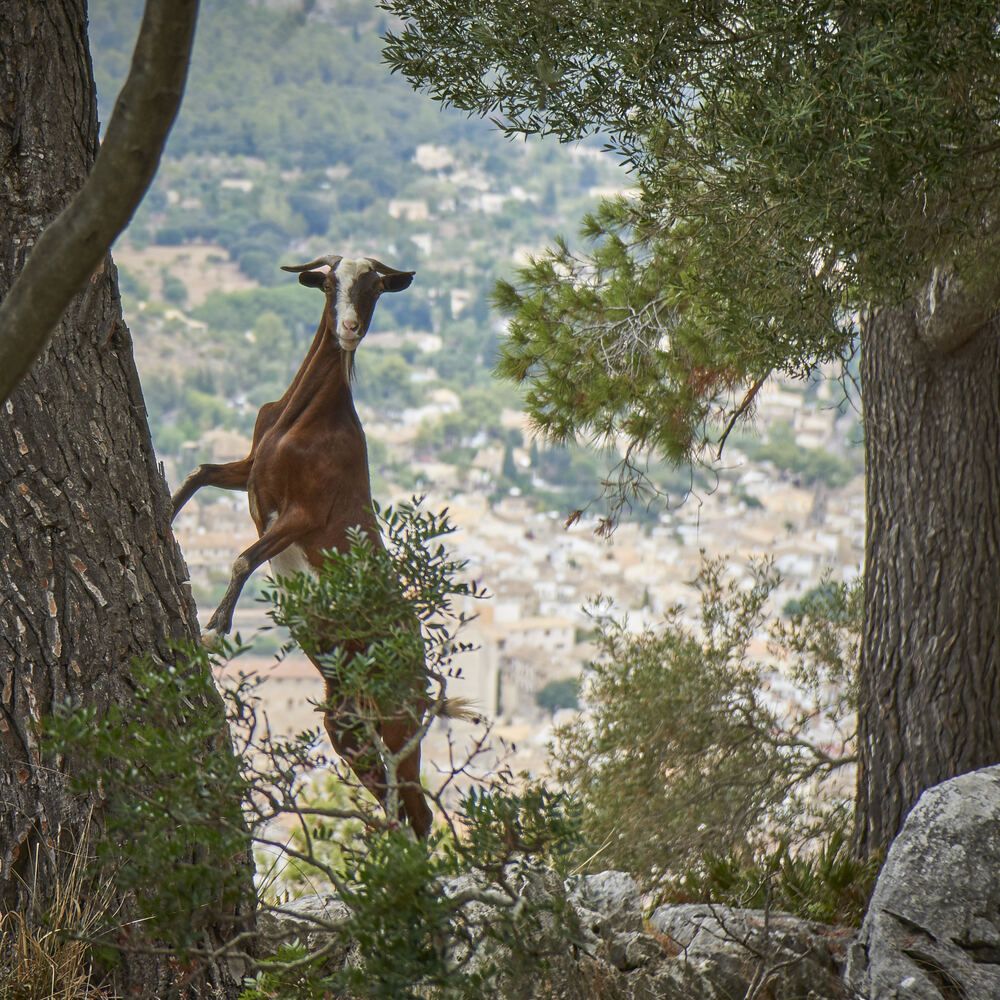 Photograph by Natalie Liedtke