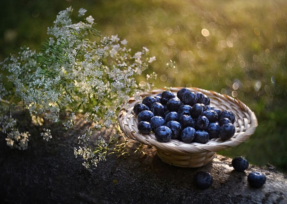 Photograph by S. Dana