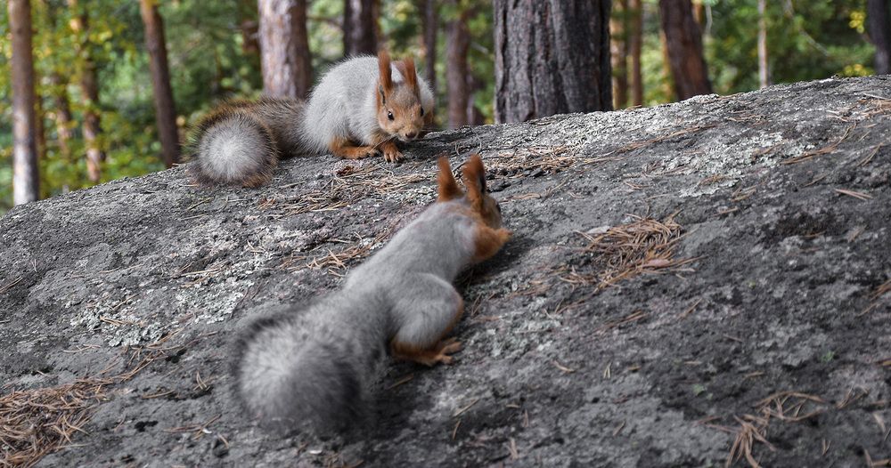 Photograph by Олег Беспалов