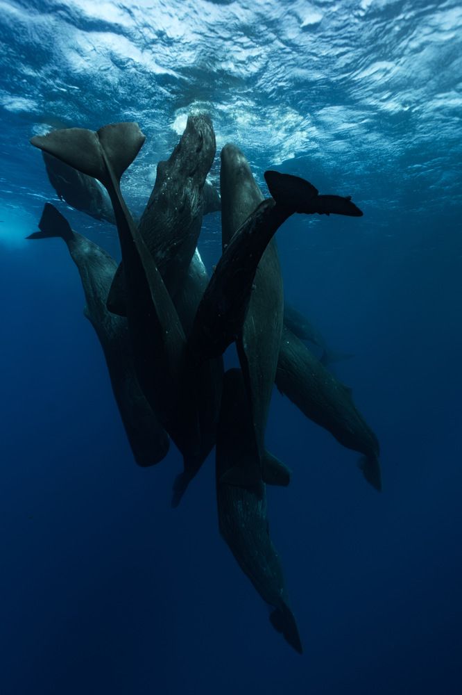 Photograph by Aleksandra Gordeeva