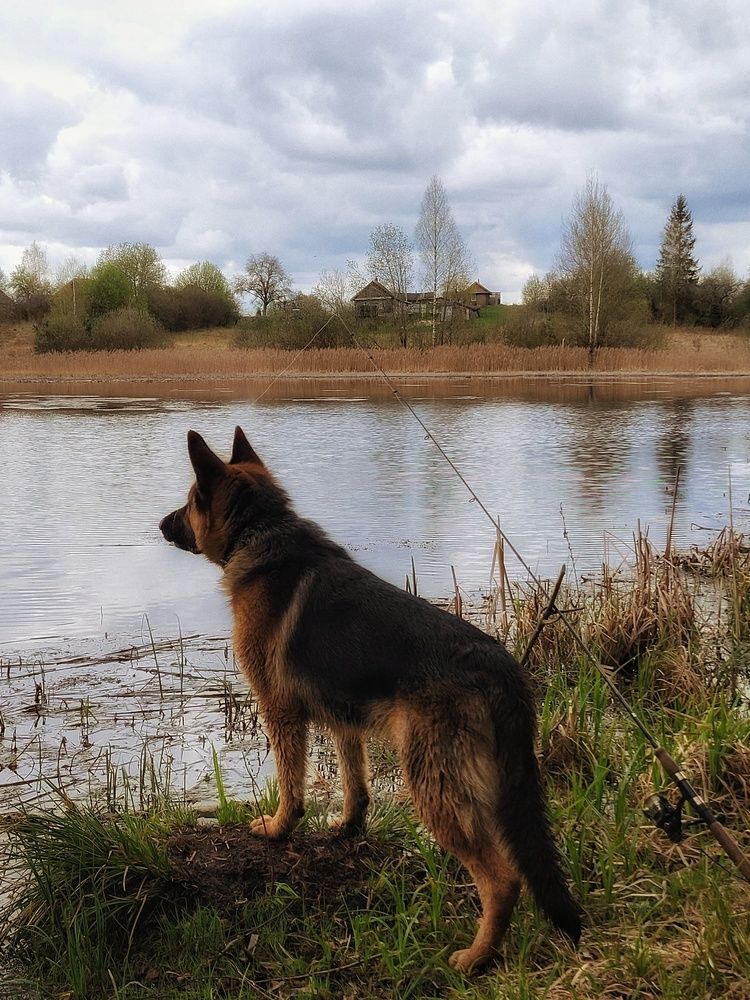 Photograph by Алина