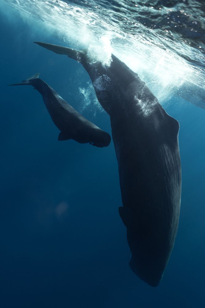 Photograph by Aleksandra Gordeeva