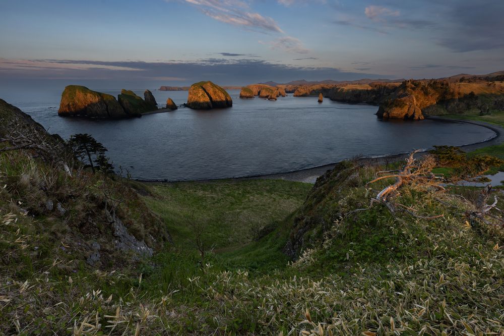 Photograph by Елена Вторушина