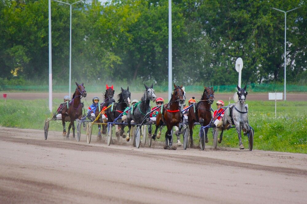 Photograph by Михаил Некрасов