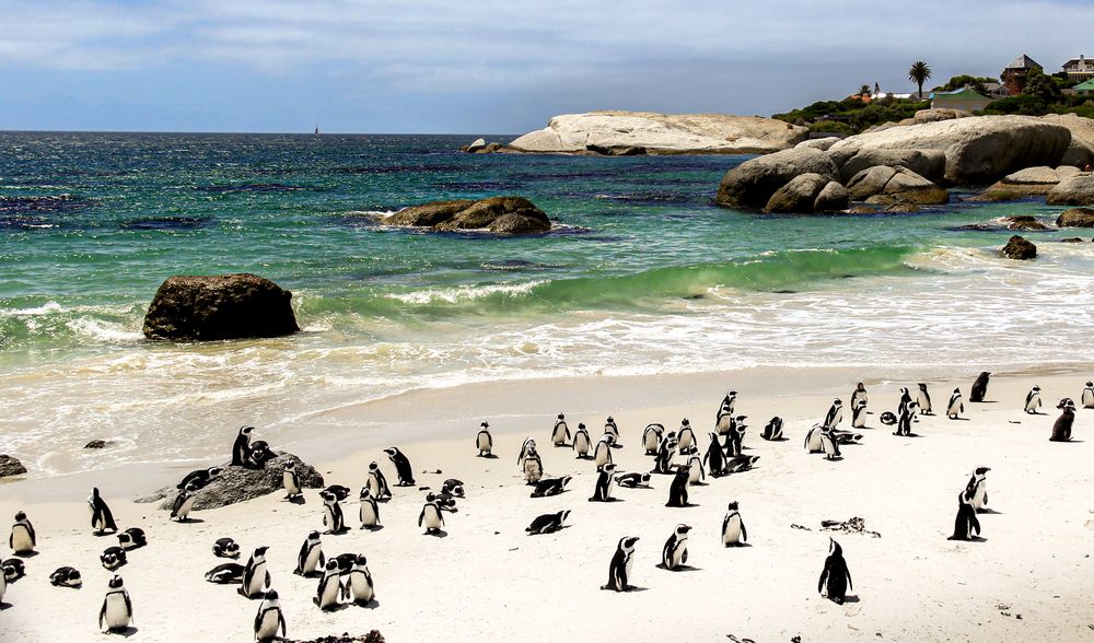 Photograph by Елена Захарова