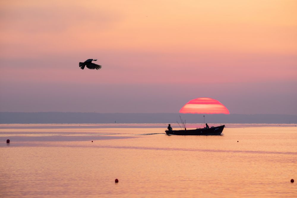 Солнечный зонтик