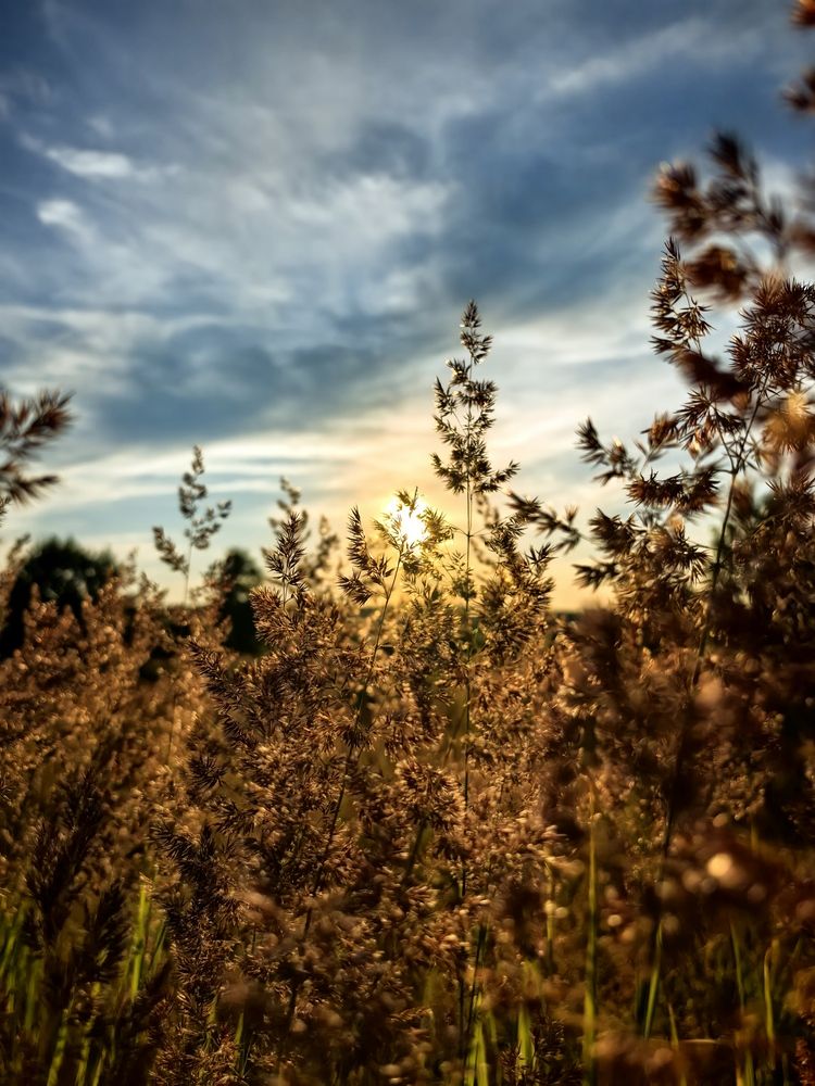 Photograph by Никита