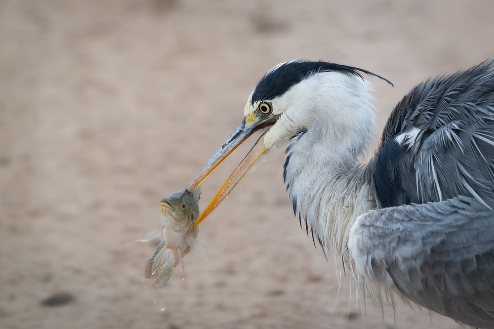 Photograph by Nikolay Slutskiy