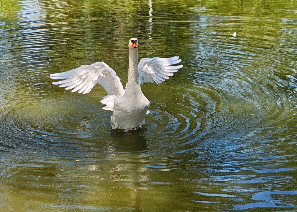 Дневная зарядка
