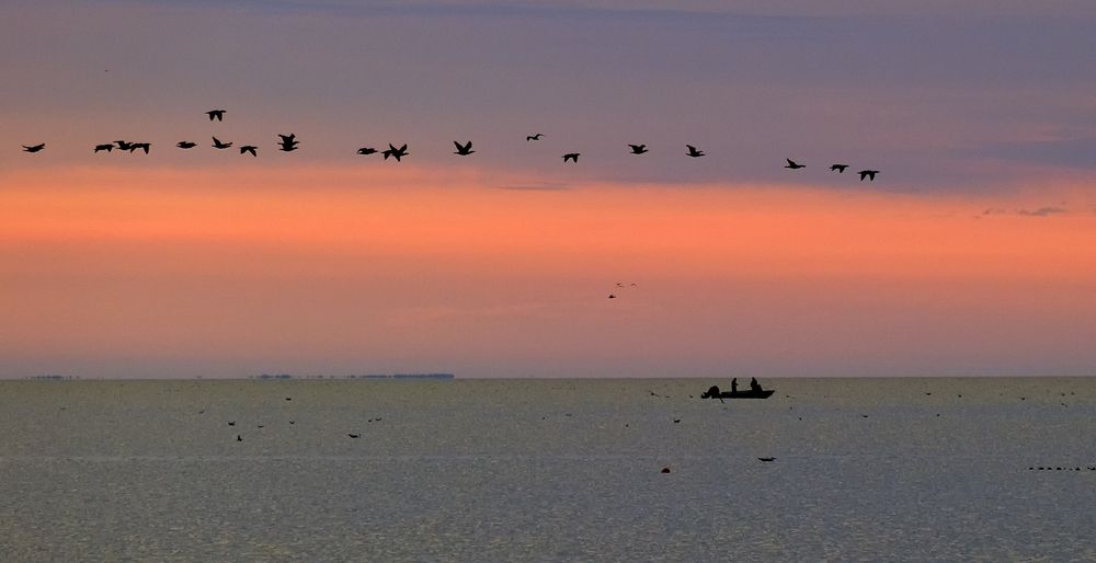 Photograph by Natalia Bolotenkova