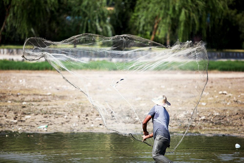 Photograph by karimi souderjani mahdi