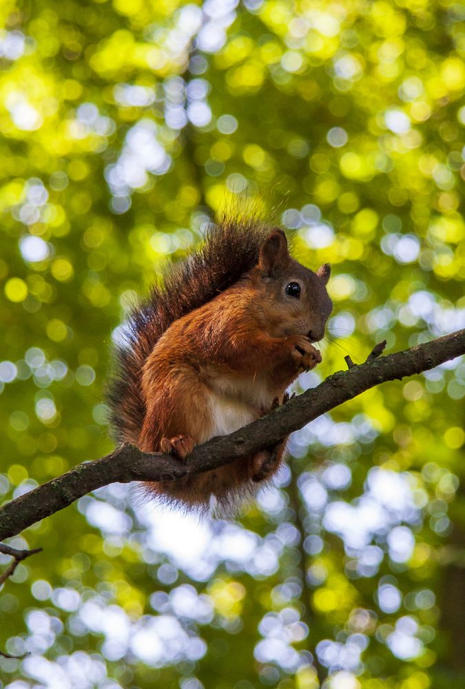 Photograph by Воробьева Людмила