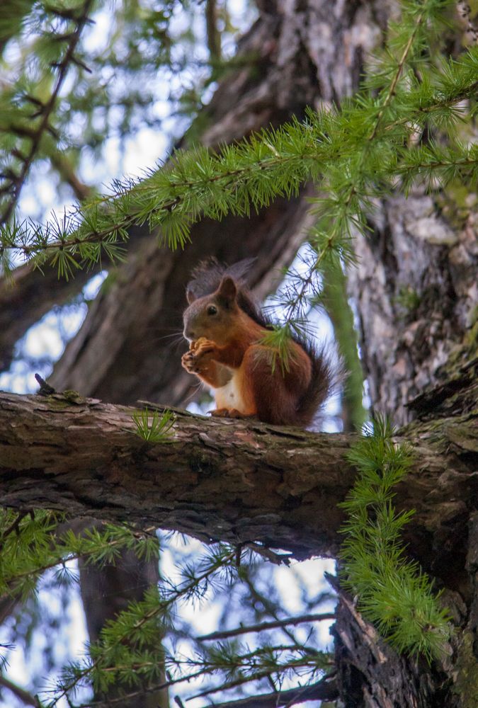 Photograph by Воробьева Людмила