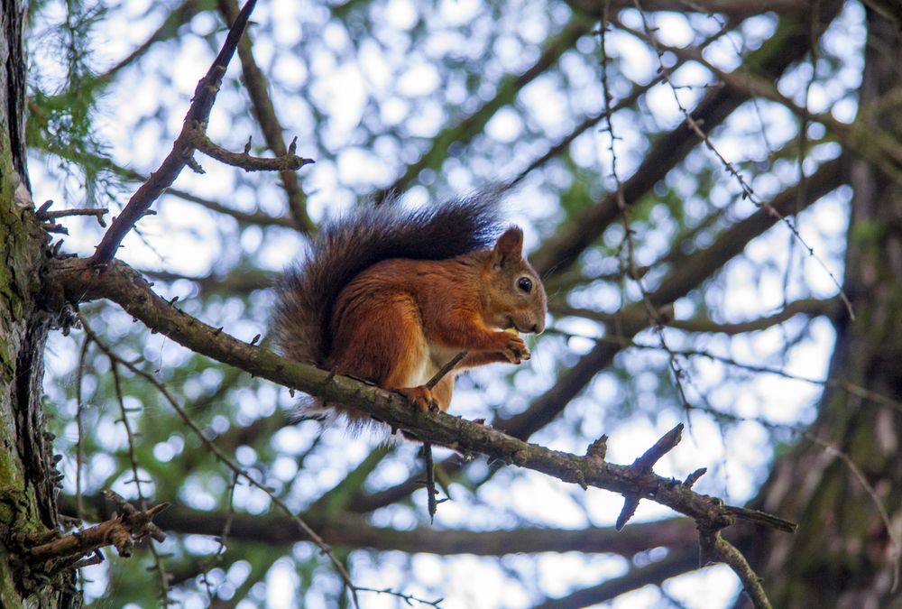 Photograph by Воробьева Людмила